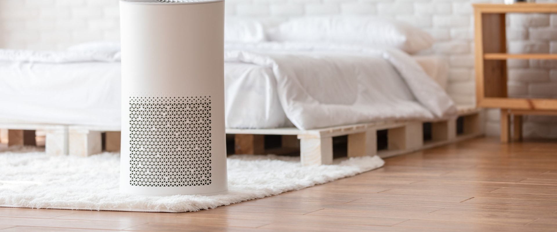Are Air Ionizers Good for Your Health? - A Comprehensive Guide