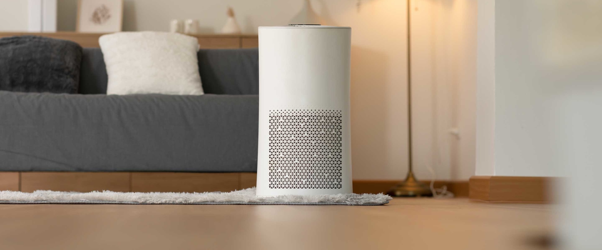 Should You Use an Air Purifier with an Ionizer? - A Comprehensive Guide